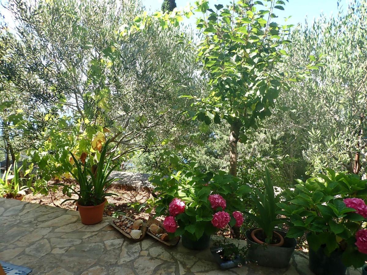 Studio Mare -30 M From A Lonely Beach Barić Draga Exterior foto